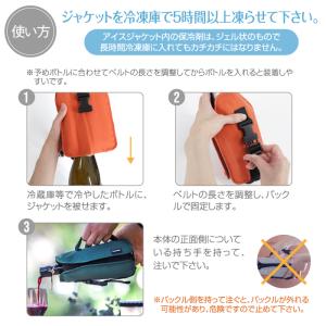 タケヤ公式ストア フレッシュロック アイスジャ...の詳細画像3