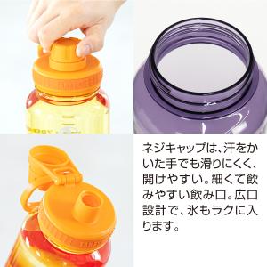 タケヤ公式ストア デュラブルボトルグラデーショ...の詳細画像1