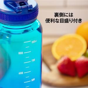 タケヤ公式ストア デュラブルボトルグラデーショ...の詳細画像5