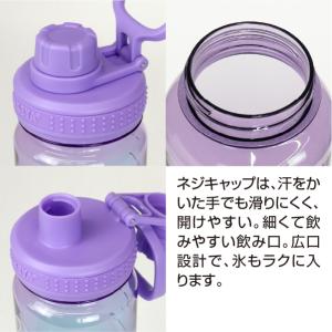 タケヤ公式ストア デュラブルボトルグラデーショ...の詳細画像1