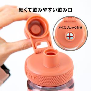 タケヤ公式ストア デュラブルボトルグラデーショ...の詳細画像2