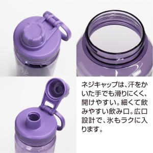 タケヤ公式ストア デュラブルボトルグラデーショ...の詳細画像2