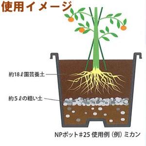 NPポット #45 黒の詳細画像1