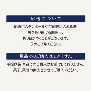 ビニール手提げ袋 リュウールドレオリジナルの詳細画像2