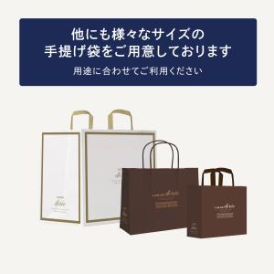 ビニール手提げ袋 リュウールドレオリジナルの詳細画像3