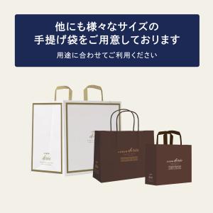 紙手提げ袋(Sサイズ) リュウールドレオリジナルの詳細画像3