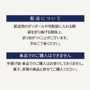 紙手提げ袋(Mサイズ)リュウールドレオリジナルの詳細画像2