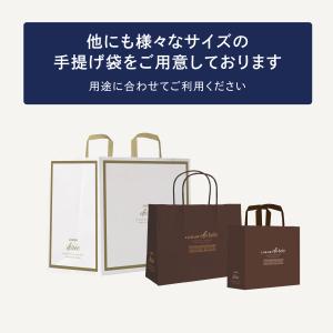 紙手提げ袋(Mサイズ)リュウールドレオリジナルの詳細画像3