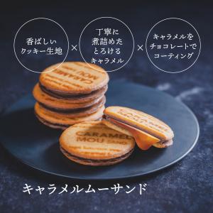 【ギフト対応】リュウールドレ ガトーセレクショ...の詳細画像5