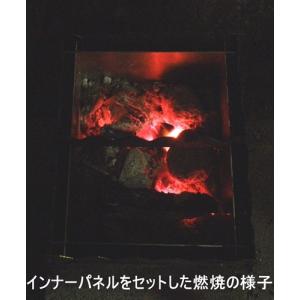 インナーパネル・L1用・チタン合金製の詳細画像1