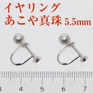 真珠 イヤリング アコヤ あこや パール 伊勢志摩 卸 5.5mm-6mm シルバー 誕生石 6月 プレゼント用｜takidapearl