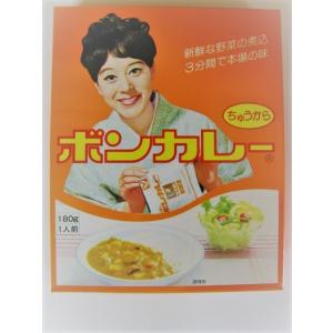 ボンカレー 沖縄限定 選べる3種類 4個セット わけありレターパックプラスで発送