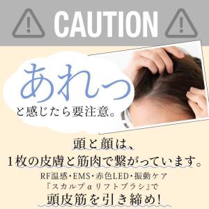 電動頭皮ブラシ コードレス EMS RF温感 ...の詳細画像2