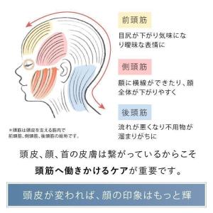電動頭皮ブラシ コードレス EMS RF温感 ...の詳細画像4