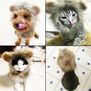 ペット用品ペットかつら 帽子 小型犬 猫 小動物 たてがみ 変身 可愛い 着ぐるみ ペット 着せ替え コスプレ ウィッグ ペット用 誕生日 記念撮影｜takishohin