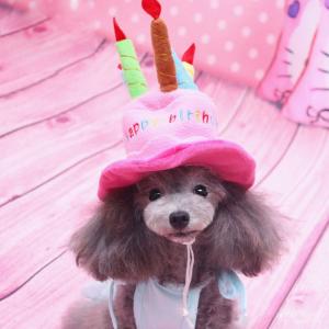 犬用お誕生日パーティ帽子 犬帽子 ハッピーバースデーハット バースディ かぶりもの 仮装 コスプレダックス チワワ プードル ドッグウェア 犬の洋服