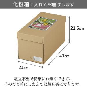 盆提灯 盆ちょうちん お盆提灯 回転霊前灯 常...の詳細画像3