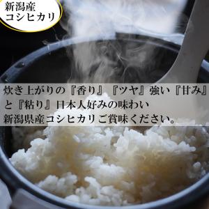 令和7年産 新潟産コシヒカリ 無洗米 (5kg...の詳細画像3