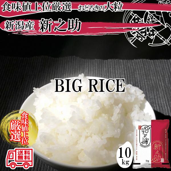 食味値上位厳選米　令和５年産 新潟県産 新潟米 新之助 白米10kg（5kg×2袋）驚きの大粒！新之...