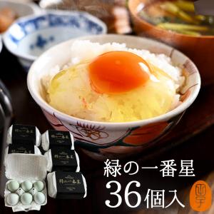 卵 生卵 高級卵 緑の一番星 〔生卵18個入〕たまご 玉子 タマゴ 卵かけ