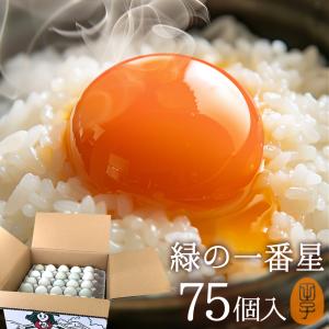 卵 生卵 高級卵 緑の一番星 〔生卵75個入(60個+破損保証15個)〕たまご 玉子 タマゴ 卵かけご飯 ギフト 爆買