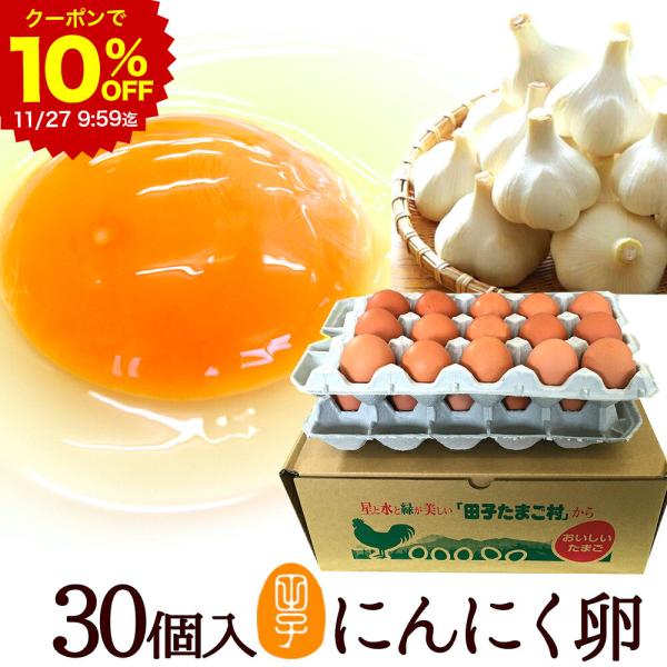 卵 にんにく卵 〔生卵30個入(生卵25個+破損保証5個)〕 玉子 たまご 卵かけご飯 2024 ギ...