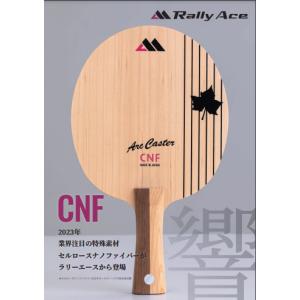 Nittaku（ニッタク） ニッタク早田ひな選手使用 Hina Hayata H2 FL