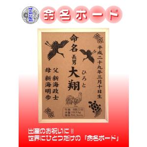 送料無料 雪印ビーンスターク すこやかM1 大缶 800g×2缶パック【軽減