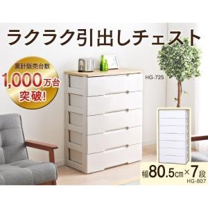 IRIS OHYAMA（アイリスオーヤマ） 2台セット 収納ケース プラスチック