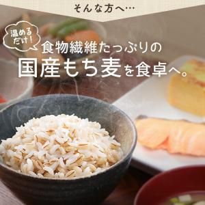 パックご飯 アイリス CM ごはん レトルトご...の詳細画像2