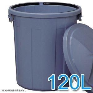 セキスイ ポリペール 90型 フタ付 大型商品 昭和 レトロ 金物屋 ゴミ箱