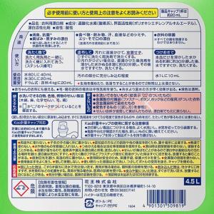 ワイドハイター EXパワー 4.5L プロ 酸...の詳細画像4