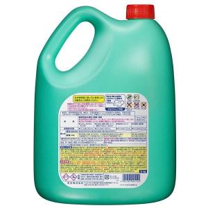 キッチンハイター 5kg 業務用 厨房用 除菌...の詳細画像4
