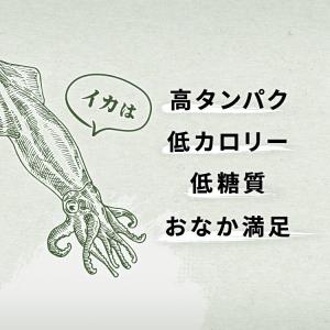 スルメ あたりめ 200g いかそうめん する...の詳細画像4