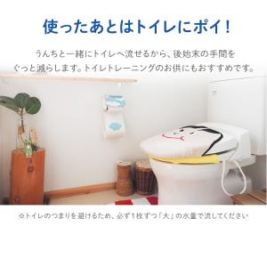 赤ちゃんの流せるおしりふき70枚(D)の詳細画像4