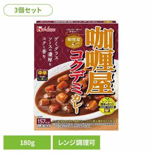 万代シティ バスセンターのカレー (220g/1.5人前) レトルト 新潟 お
