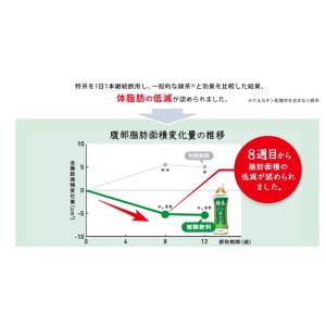 特茶 サントリー 伊右衛門 48本 500ml...の詳細画像5