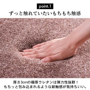 ラグ カーペット ラグマット 2畳 厚手 おし...の詳細画像4