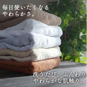 タオル フェイスタオル 泉州タオル 34×86...の詳細画像5