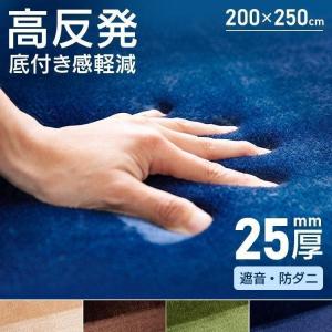 ラグ ラグマット おしゃれ 200×250 3畳 夏用 夏 カーペット 北欧 高反発 遮音 高反発ラグ 絨毯 じゅうたん マット (D)