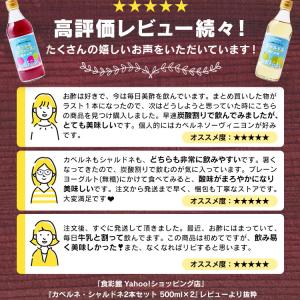 飲むお酢 ビネガードリンク リンゴ酢 美容 健...の詳細画像2