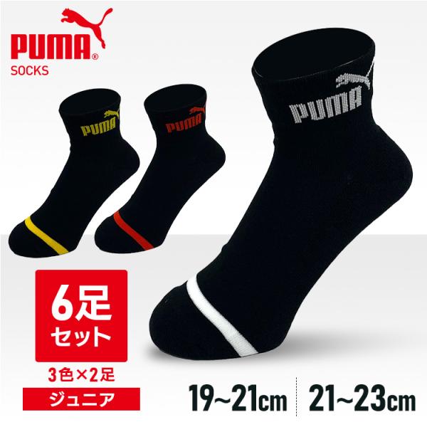 プーマ スポーツブランド ソックス PUMA6足セット 4293719 PUMA (D)(B)(メー...