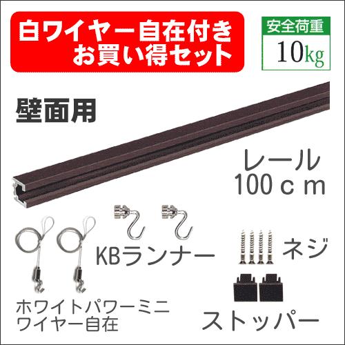 ピクチャーレールセット100cm ブロンズ ”C-11型レール壁面用ホワイトワイヤー付お買い得セット...