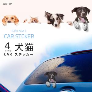 カーステッカー 犬 猫 アニマル ドレスアップ 車 バイク ステッカー シール 動物 猫 犬 覗き見 かわいい トラック・カー用品