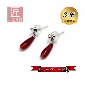 血赤珊瑚 ピアス 11mm 滴型 高知産血赤珊瑚（のし等ギフト対応無料
