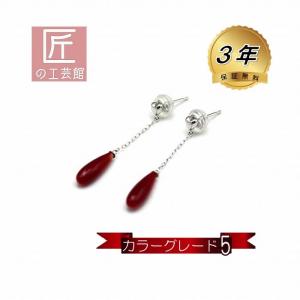 珊瑚 べっ甲専門店 匠の工芸館 - Yahoo!ショッピング