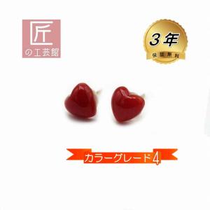 本鼈甲　血赤珊瑚　黒珊瑚　縁起物　鼈甲珊瑚細工宝船　べっ甲　鳳凰宝船　置物　珊瑚 本鼈甲 べっ甲 鳳凰宝船 置物 血赤珊瑚、白珊瑚 ガラスケース