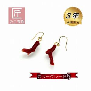 血赤珊瑚 ピアス 11mm 滴型 高知産血赤珊瑚（のし等ギフト対応無料