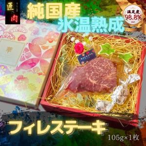 ヒレ ステーキ 100g プレゼント 氷温熟成 肉 国産 牛 焼肉 ギフト 赤身 通販 フィレ ヘレ｜takuminoniku