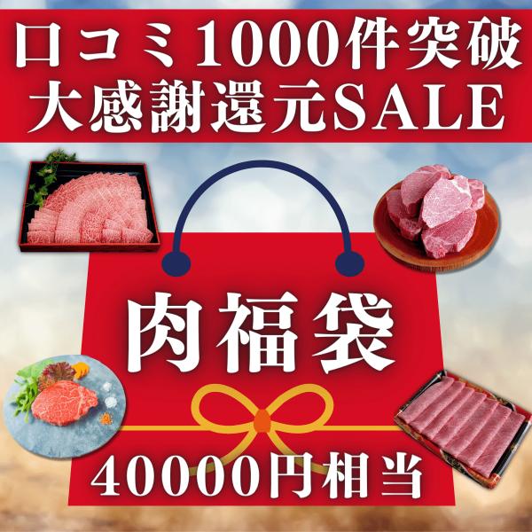 【大感謝還元セール】2023年肉福袋 40000円相当 日本一等級 流通量0,1% A5BMS12等...